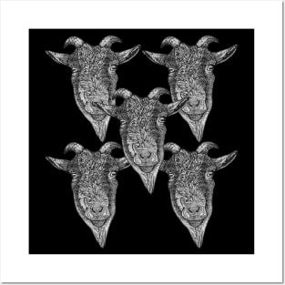 Satanic black and white goats Posters and Art